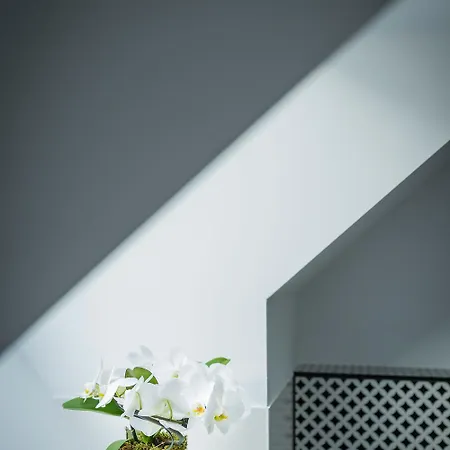 Living Timeless- Design Bodensee- Apartment