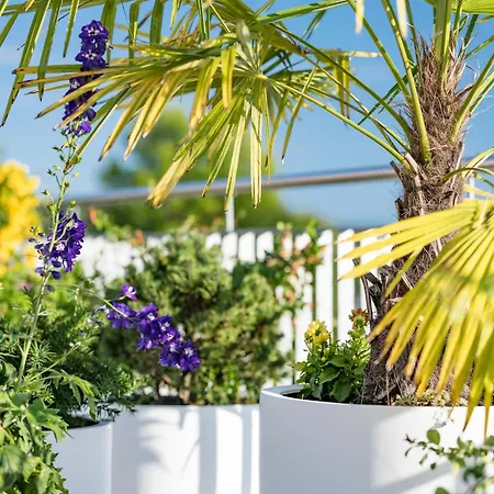 Living Timeless- Design Bodensee- Апартаменты